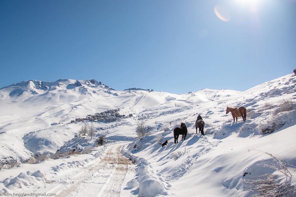 Lodge Cordillera Valle Nevado Buitenkant foto